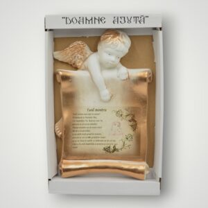 PLACHET IPSOS - TATAL NOSTRU