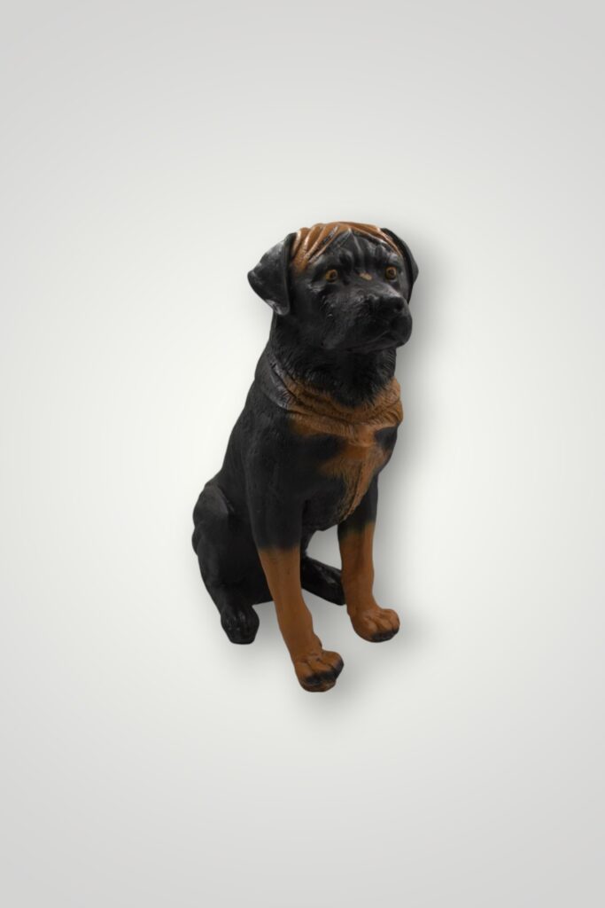 CAINE