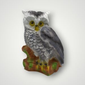 ORNAMENT BUFNITA
