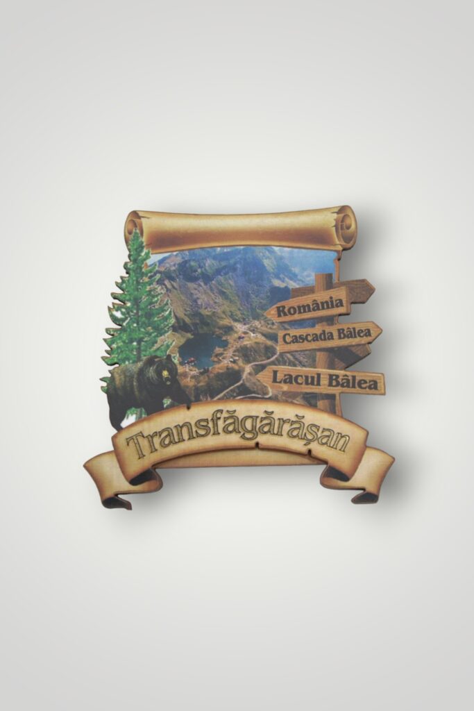 MAGNEȚI LEMN - TRANSFĂGĂRĂȘAN