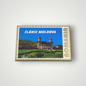 MAGNEȚI LEMN - SLĂNIC MOLDOVA