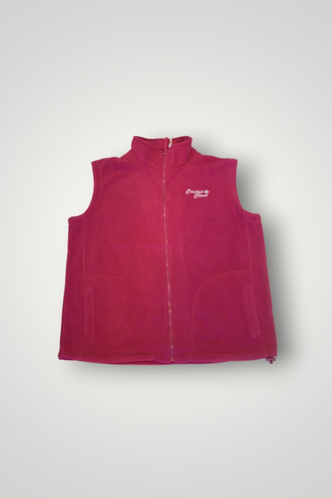 VESTĂ