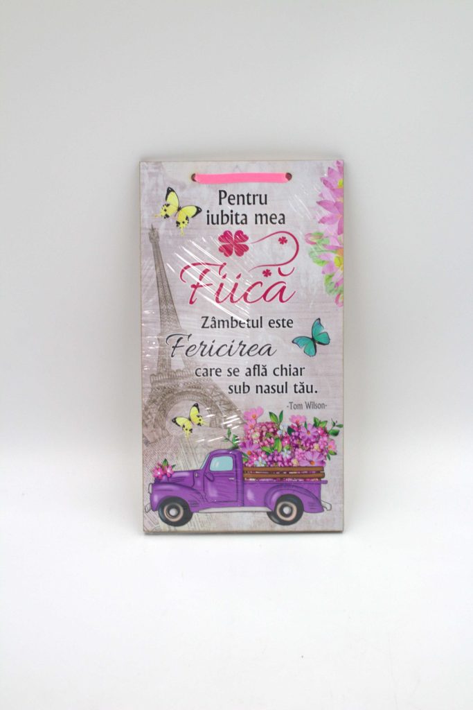 APLICE LEMN - FIICA