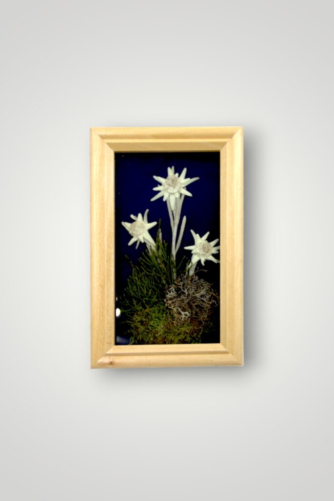 TABLOU FLOARE DE COLT