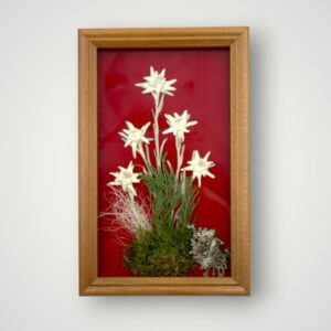 TABLOU FLOARE DE COLT