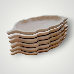 SET PLATOU FRUNZE