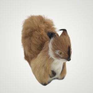 ANIMALE CU BLANĂ