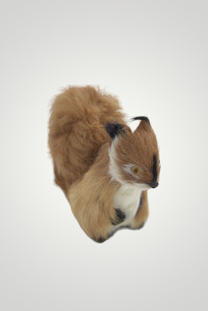 ANIMALE CU BLANĂ