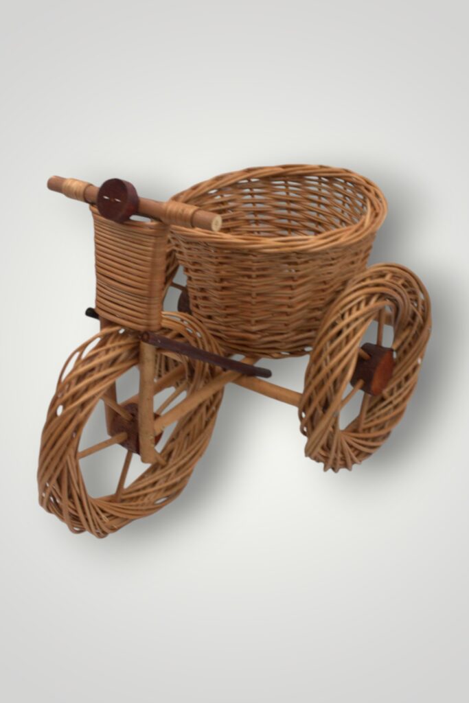 BICICLETA LEMN - MARE
