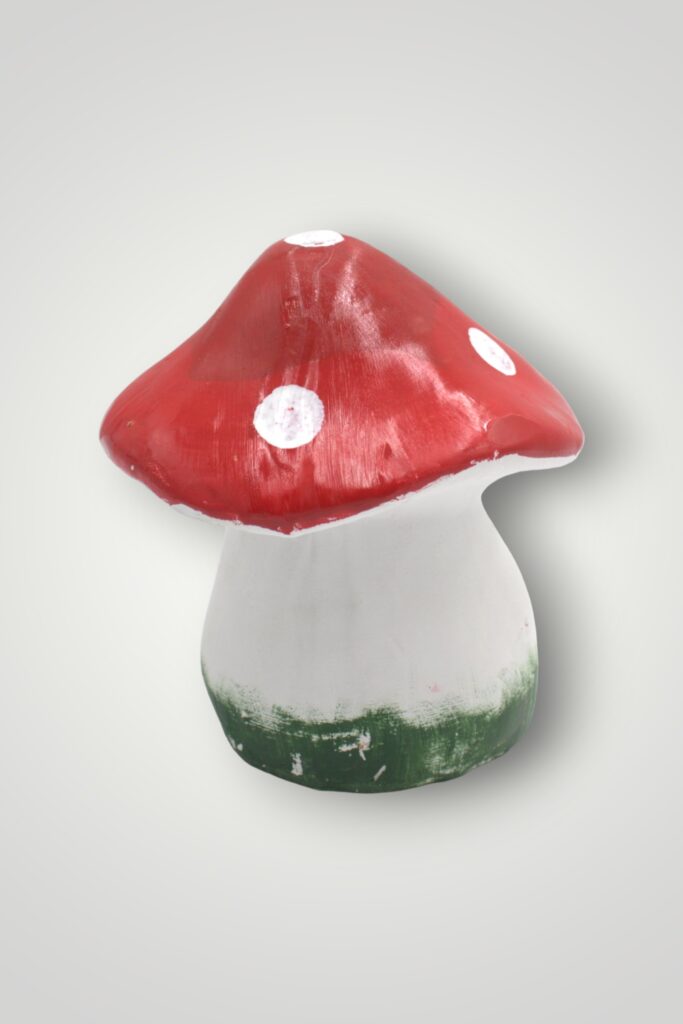 CIUPERCĂ