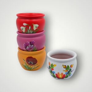 GHIVECI DE FLORI PICTATE MANUAL