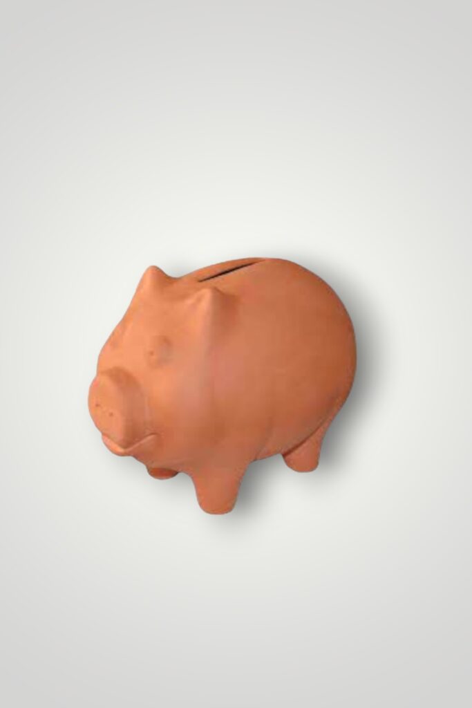 PUSCULITA PORCUSOR MIC