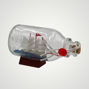 DECORATIUNE STICLA MARE CU VAPOR