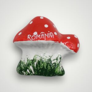 MAGNET CERAMIC CIUPERCĂ