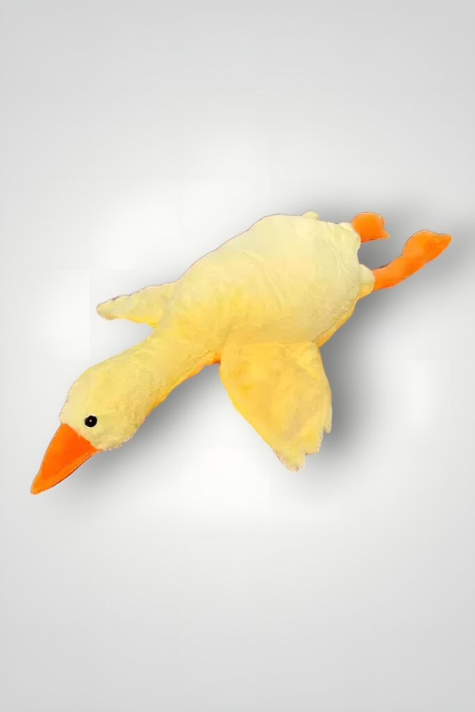 RATA PLUS