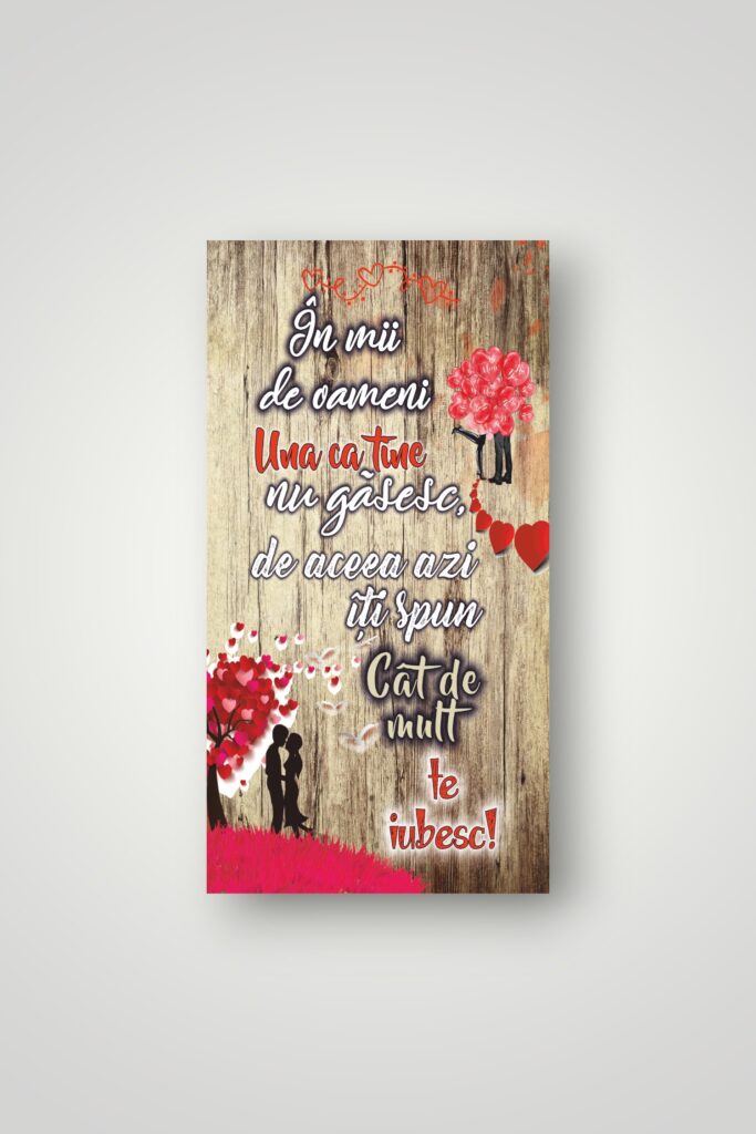 APLICE LEMN - IN MII DE OAMENI