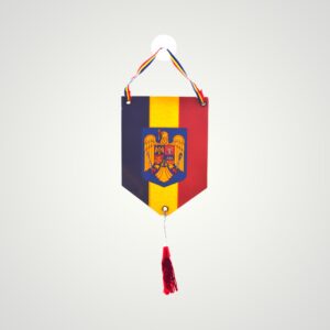 STEAG AUTO ROMANIA