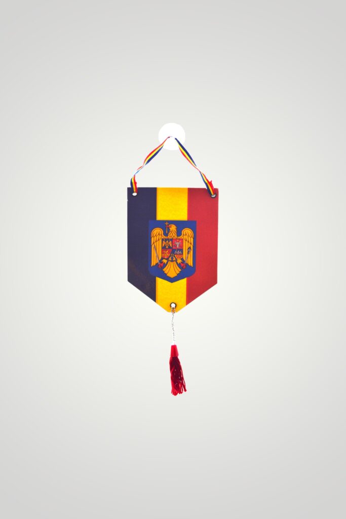 STEAG AUTO ROMANIA