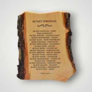 TABLOU LEMN - AZ ELET TORVENYEI