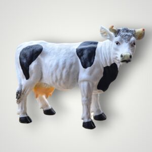 VACA