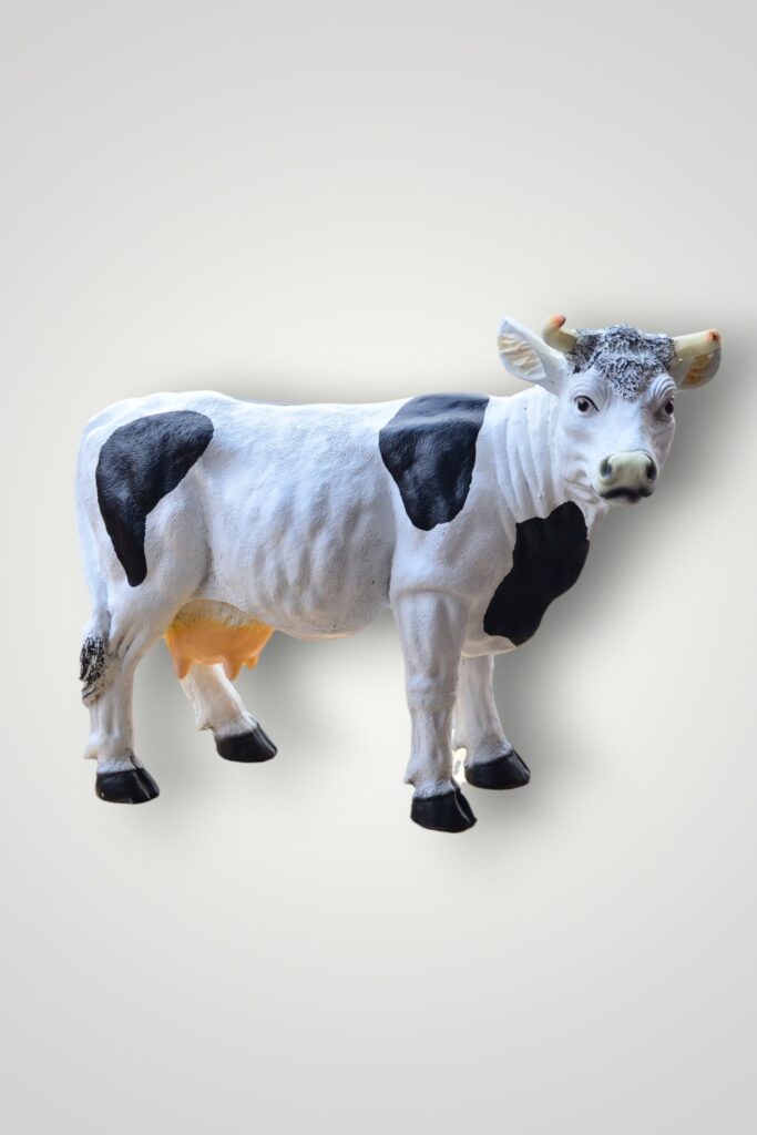VACA