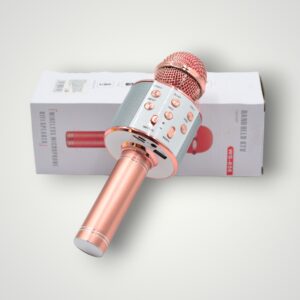 MICROFON KARAOKE