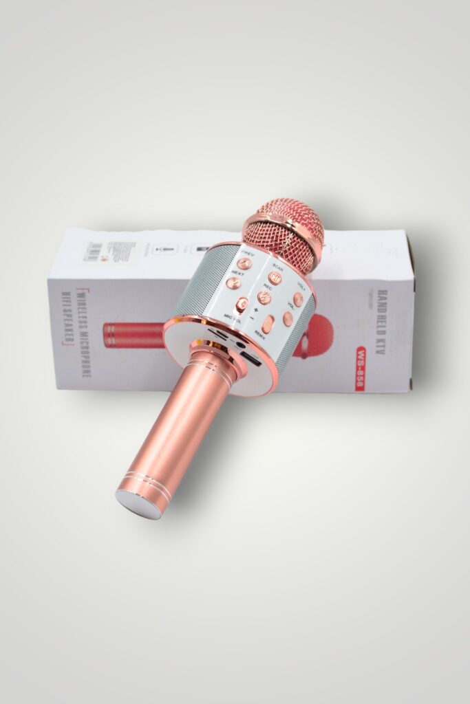 MICROFON KARAOKE
