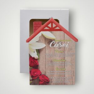 PLACHET IPSOS - BINECUVANTAREA CASEI