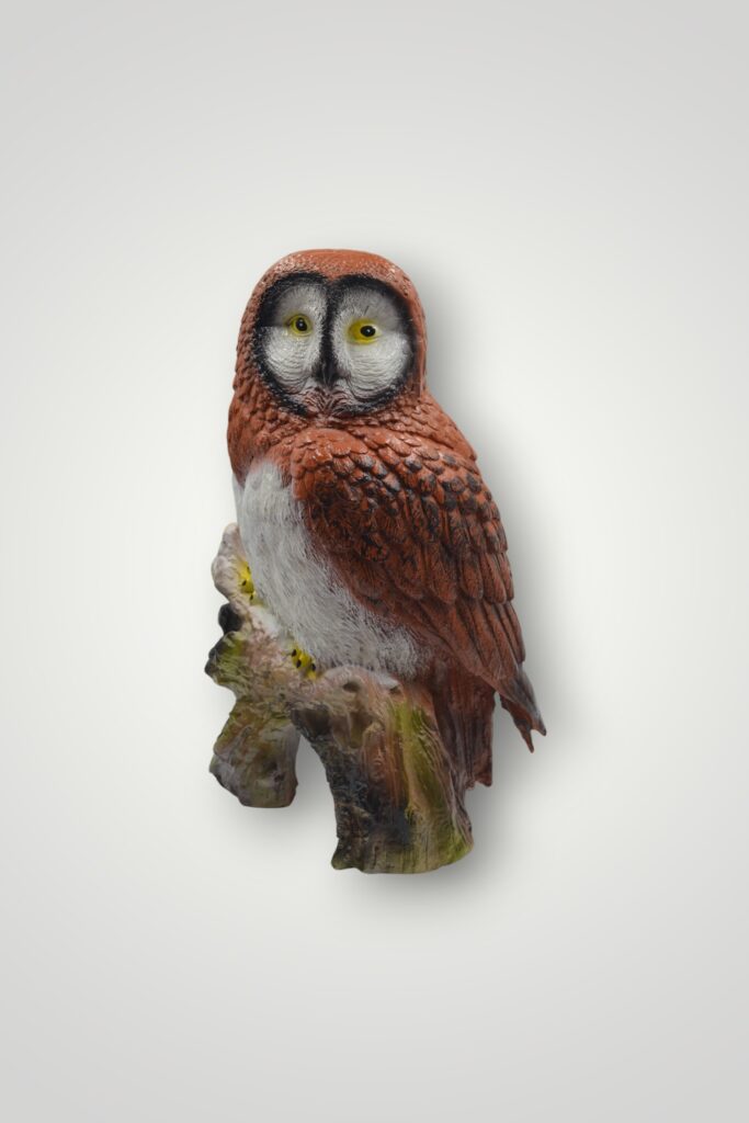 BUFNITA