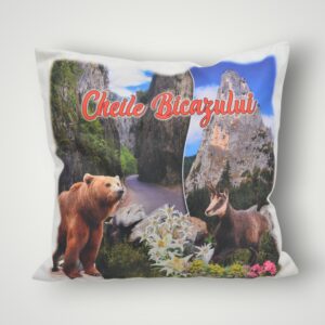 PERNA CHEILE BICAZULUI