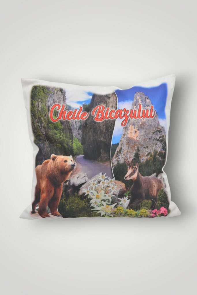 PERNA CHEILE BICAZULUI