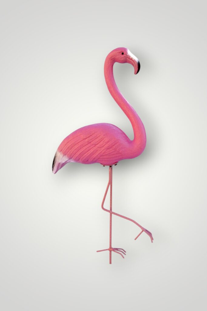 FLAMINGO PLASTIC MIC