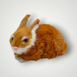 ANIMALE CU BLANA - IEPURAS