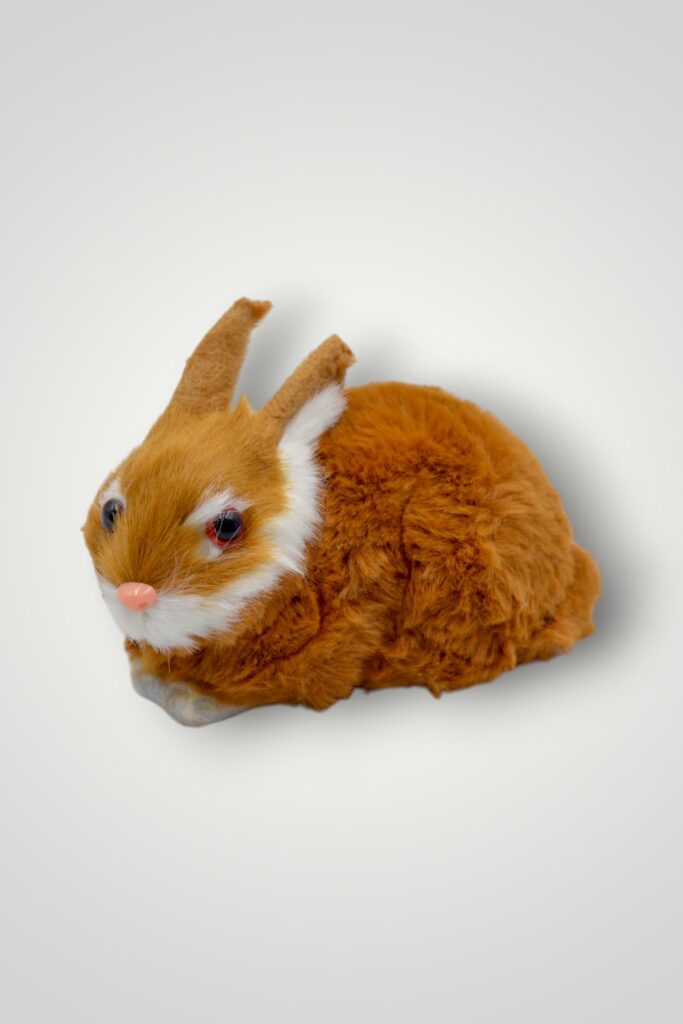 ANIMALE CU BLANA - IEPURAS