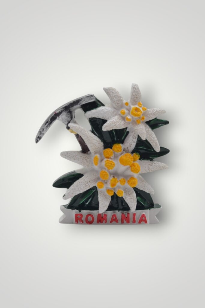 MAGNET CERAMIC