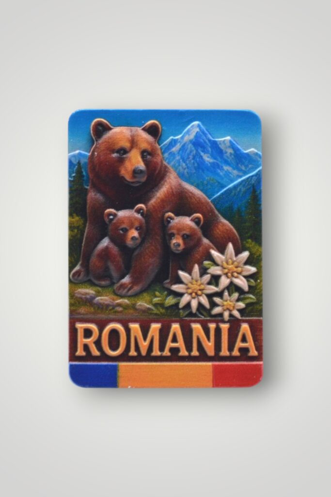 MAGNET CERAMIC - ROMANIA